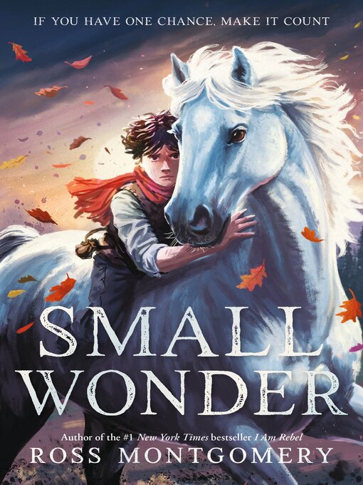 Title details for Small Wonder by Ross Montgomery - Available